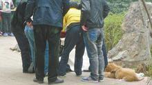 郑州17岁女孩路边上吊自杀 宠物犬不吃不喝哀嚎