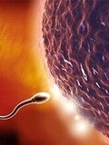 科学大片：实拍精子进入女人体内的全过程-健康-完整版视频在线观看-爱奇艺