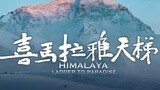 《喜马拉雅天梯》正在热映 拍摄历时四年