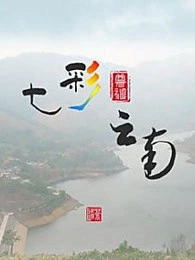 七彩云南-纪录片-高清正版视频在线观看-爱奇艺