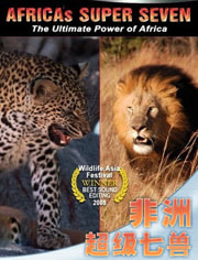 探索频道： 非洲超级七兽
