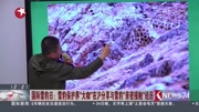 雪豹保护界大咖在沪分享与雪豹＂亲密接触＂经历资讯高清正版视频在线观看–爱奇艺