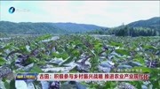 古田:积极参与乡村振兴战略推进农业产业现代化资讯高清正版视频在线观看–爱奇艺