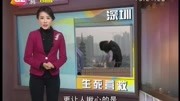 生死营救!资讯搜索最新资讯爱奇艺