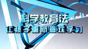 建立独立的家庭教育文化 第5讲 中国家长要从药家鑫案件中醒悟知识名师课堂爱奇艺