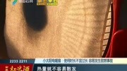 电暖扇:使用时长不宜过长 容易发生致燃事故资讯高清正版视频在线观看–爱奇艺