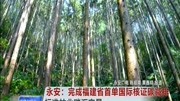 永安:首单国际核证碳减排标准林业碳汇交易资讯高清正版视频在线观看–爱奇艺