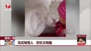 花式堆雪人 欢乐又有趣资讯完整版视频在线观看爱奇艺