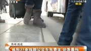 咸阳31条线路公交车免费坐你羡慕吗资讯搜索最新资讯爱奇艺