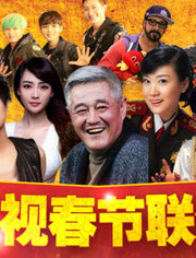 2013辽宁卫视春晚