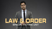 法律与秩序：特殊受害者第16季