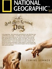 国家地理：人创造了狗