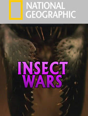 国家地理：昆虫战役