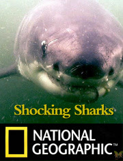 国家地理：骇人怪鲨