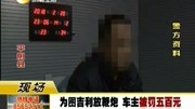 为图吉利放鞭炮 车主被罚五百元资讯高清正版视频在线观看–爱奇艺