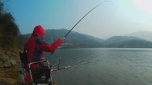 黑坑钓鱼诱鱼窝料制作方法-旅游-高清正版视频