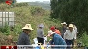 南充启动“木本油料之乡”建设资讯高清正版视频在线观看–爱奇艺