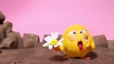 搞笑小鸡:_163