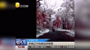 昨晚辽宁抚顺迎来降雪资讯高清正版视频在线观看–爱奇艺