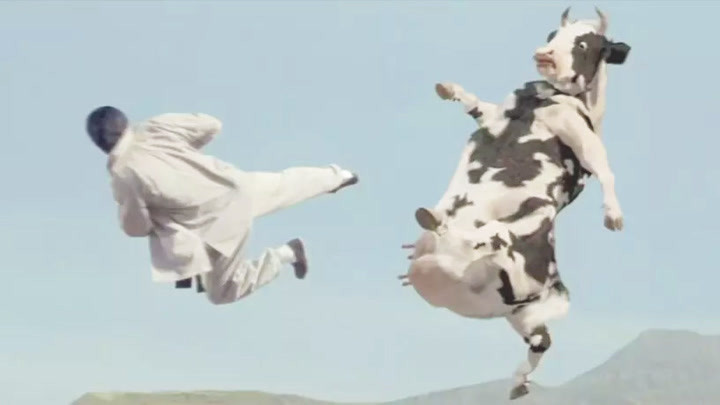 外国小伙苦练武功,差点被功夫奶牛打翻在地,美国拍的搞笑功夫片