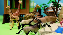 长颈鹿大象老虎狮子动物世界模型，乐高先生的仿真玩具