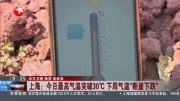 上海:今日最高气温突破30℃资讯高清正版视频在线观看–爱奇艺