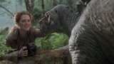 女子直接上前拍照恐龙？竟然还用手直接触摸脑袋！
