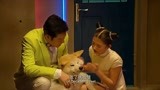 绝世高手：这个人说，原来不是狗精，是个人影！