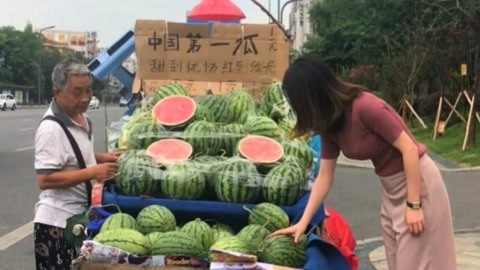 音信频道-整天3个瓜！狡赖整容、公然被人表达幼S被怒怼文娱圈真精粹，追求贝博ballbet入口：正在线文娱平台的奇异魅力-证券日报网