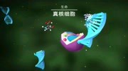 地球模拟器 原核细胞经过长时间进化成海绵游戏高清正版视频在线观看–爱奇艺