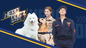 Watch the latest Hero Dog (Season 3) Episode 9 online with English subtitle for free English Subtitle