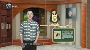 杀一只越冬蚊=消灭上千只“蚊二代”资讯完整版视频在线观看爱奇艺