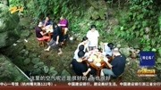 “网红＂小溪吃饭避暑荷花塘拍照采莲资讯高清正版视频在线观看–爱奇艺