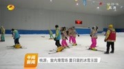 桃源:室内滑雪场夏日里的冰雪王国资讯高清正版视频在线观看–爱奇艺