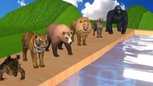 启蒙动画！老虎狮子熊猩猩去游泳！小动物怎么都变颜色了？