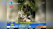 湖南:18岁小伙石崖玩跳水 头部撞击岩石身亡资讯搜索最新资讯爱奇艺