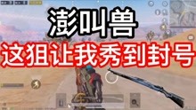 和平精英搞笑:职业狙击手中的awm是什么样子?