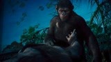 猩球崛起：智力超群的凯撒猩猩，盗取小刀开锁，收服猩猩王！