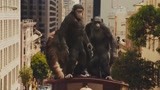 猩球崛起：凯撒带领猩猩逃离城市，一路火花带闪电，太帅了