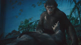 猩球崛起：猩猩遭受虐待黑化，高智商收服所有猩猩，看着太帅了