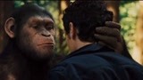 猩球崛起：猩猩也有感情，不忘人类的养育之恩，不会伤害主人