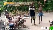 世界上最矮的民族俾格米人,他们吃什么生存?让人难以下咽!旅游完整版视频在线观看爱奇艺