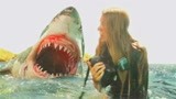 电影《鲨滩》，女孩冲浪遇见鲨鱼，凭一己之力打败食人鲨