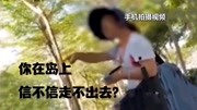 通报来了!威胁游客“走不出鼓浪屿”的导游被吊销证件列入黑名单资讯搜索最新资讯爱奇艺