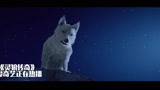灵狼传奇：男孩遇到危险，白狼变成人形救他，可惜差了一点