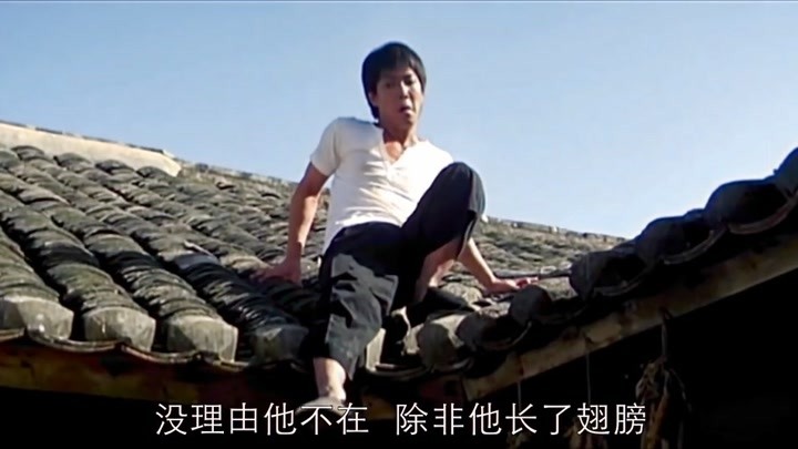 元彪明星资料大全-元彪动态_元彪电视剧电影-爱奇艺