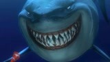 海底总动员：小丑鱼寻找儿子，却遇上凶猛的鲨鱼，这下逃不掉了！