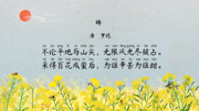 语文大师(小学古诗) 【语文大师】四年级:蜂——唐 罗隐知识名师课堂爱奇艺