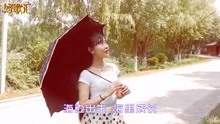 免费观看高清思念故乡短剧，情感共鸣的视觉盛宴，免费观看高清情感共鸣短剧，思念故乡的视觉盛宴