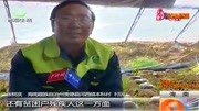 村民养殖羊肚菌,村子实现致富梦,村民:现在一年收入也可观原创完整版视频在线观看爱奇艺